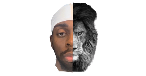 kingsadaris.com
